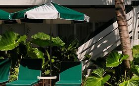 Perroquet Hotel